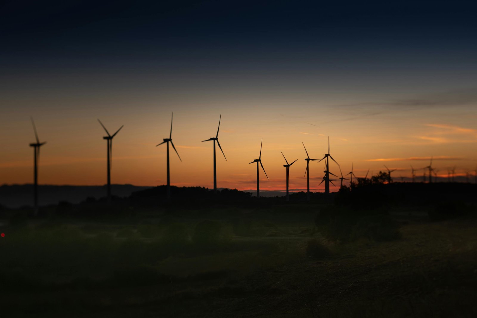 Carbon neutral milestone achievement